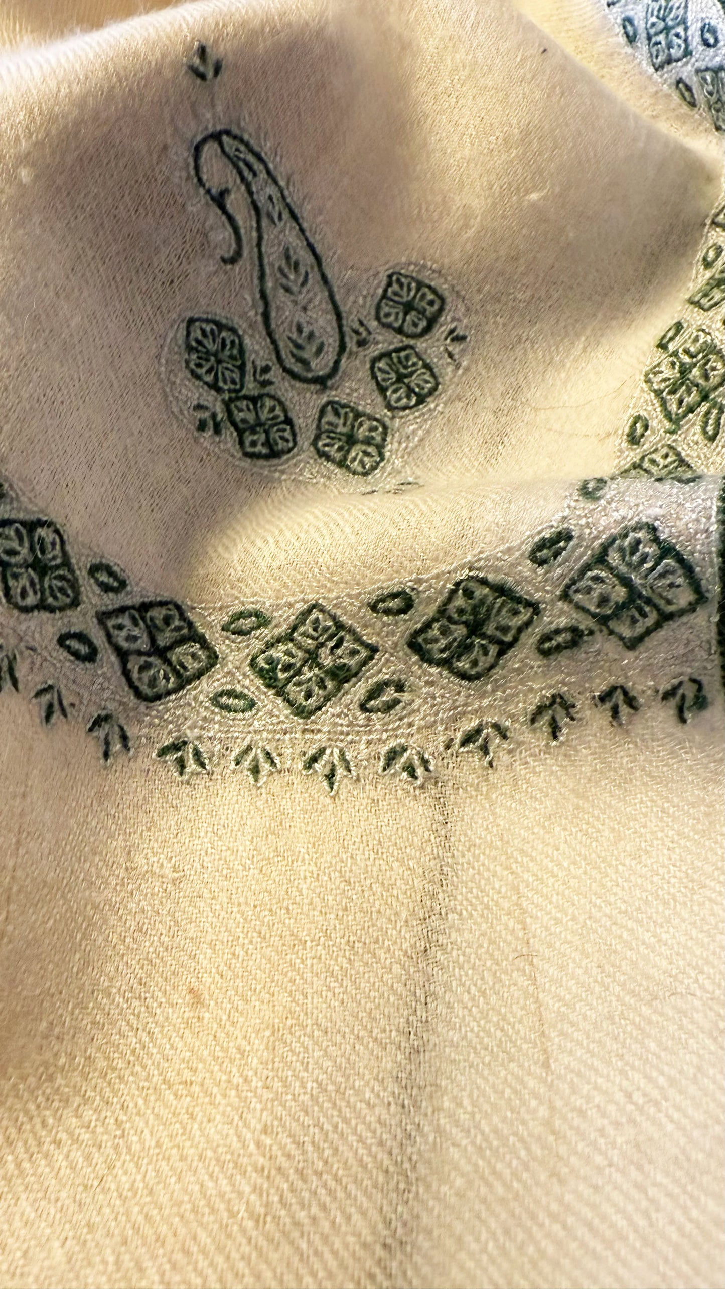 Pashmina Stole with Paisley Border Embroidery